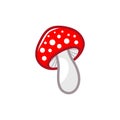 Mushroom icon. Amanita Muscaria fly agaric sign Magic mushroom symbol. Vector illustration isolated on white background Royalty Free Stock Photo