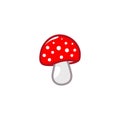 Mushroom icon. Amanita Muscaria fly agaric sign Magic mushroom symbol Vector illustration isolated on white background Royalty Free Stock Photo