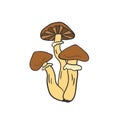 Mushroom icon design. Vegan sticker and patch. Honey agaric.