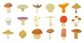 Mushroom icon set, cartoon style Royalty Free Stock Photo