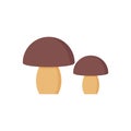 Mushroom icon. Vector illustration. Pair of porcini. Flat design