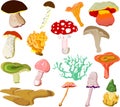 Mushroom icons