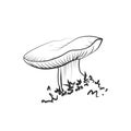 Mushroom illustration, vector. Russule, russulacea mushroom drawing