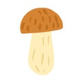 Mushroom isolated on white background. Cartoon seasonal vegetable hand drawn