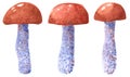 Mushroom Leccinum aurantiacum, red cap, hand drawn watercolor illustration