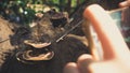 Mushroom macro photo with smartphone.