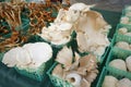 Mushroom market Royalty Free Stock Photo