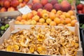 Mushroom market Royalty Free Stock Photo