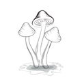 mushroom meditation cartoon character with doodle style Royalty Free Stock Photo