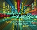 Mushroom multilanguage wordcloud background concept glowing Royalty Free Stock Photo