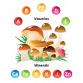 Mushroom Nutritions Infographics Royalty Free Stock Photo