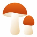 Mushroom orange boletus. Element for design isolated on white background