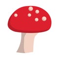 Mushroom organic vegetarian gourmet ingredient cooking vector flat icon