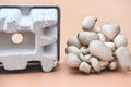 mushroom packaging solution. compostable packaging Royalty Free Stock Photo