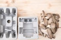 mushroom packaging solution. compostable packaging Royalty Free Stock Photo