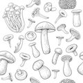 Mushroom pattern seamless. Engraved edible food sketch, organic outline truffle, shiitake and morel. Line art hand drawn Royalty Free Stock Photo