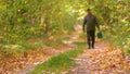 Mushroom picker with a basket in a pine forest. Mushrooming