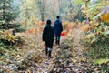 Mushroom pickers go to the forest for mushrooms along the path in autumn, teenage children in raincoats in autumn Royalty Free Stock Photo