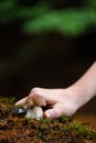 Mushroom picking - detail of the hand with knife