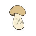 Mushroom porcini icon design. Vegan sticker and patch. Vector illustration.