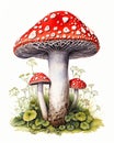 The Mushroom Princess and Her Toadstools Royalty Free Stock Photo