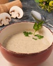Mushroom puree soup decorated with parsley in a bowl