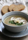 Mushroom puree soup