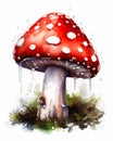 Mushroom with red cap and drop of water