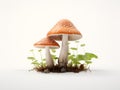 The mushroom is the reproductive structure consisting of a stripe and a cap. Generative AI
