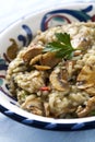 Mushroom Risotto Royalty Free Stock Photo