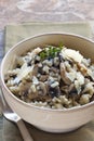 Mushroom Risotto Royalty Free Stock Photo