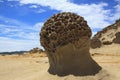 Taiwan Mushroom rock formation,Yehliu geopark