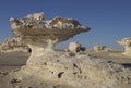 Mushroom rocks in White desert Royalty Free Stock Photo