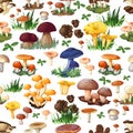 Mushroom Seamless Pattern Royalty Free Stock Photo