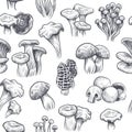 Mushroom seamless pattern. Sketch various mushrooms truffle and champignon, chanterelle and porcini, honey agaric and