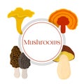 Mushroom set - bolete, reishi, chanterelle, morel. Cartoon flat style. Vector