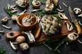 Mushroom set: Maitake Mushrooms, Brown beech mushroom, and champignons. Side view.