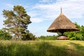 Mushroom shelter