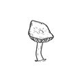 Mushroom sign. Cartoon hand drawn illustration Mushroom icon