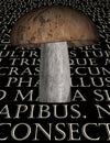 Mushroom Latin text