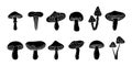 Mushroom sketch set. Poisonous and edible mushrooms hand drawn banner. Different black mushroom symbols. Chanterelle Royalty Free Stock Photo