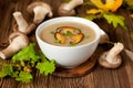 Mushroom soup Royalty Free Stock Photo