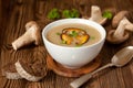 Mushroom soup Royalty Free Stock Photo