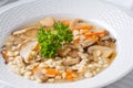 Mushroom Soup Royalty Free Stock Photo