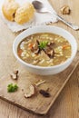 Mushroom soup with barley and vegetables Royalty Free Stock Photo