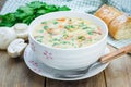 Mushroom soup with chicken Royalty Free Stock Photo