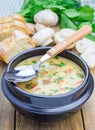 Mushroom soup with chicken Royalty Free Stock Photo