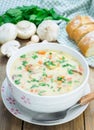 Mushroom soup with chicken Royalty Free Stock Photo