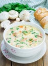 Mushroom soup with chicken Royalty Free Stock Photo