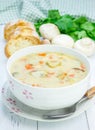 Mushroom soup with chicken Royalty Free Stock Photo